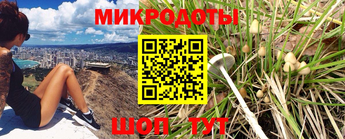Галлюциногенные грибы прущие грибы Дзержинск